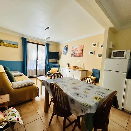 A Avec Terrasse Proche Plages Et Commerces - Fr-1-309-484 *