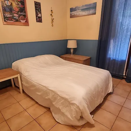 Avec Terrasse A - Fr-1-309-484 *