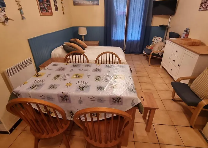 Avec Terrasse A - Fr-1-309-484 Apartmán Collioure