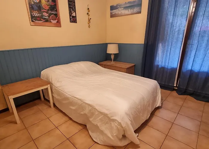 Avec Terrasse A - Fr-1-309-484 *